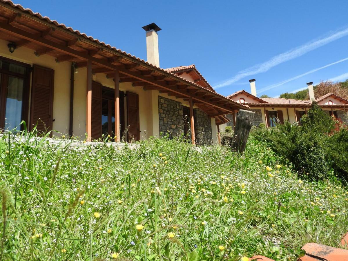 Agropoli Hotel Nimfasía Kültér fotó